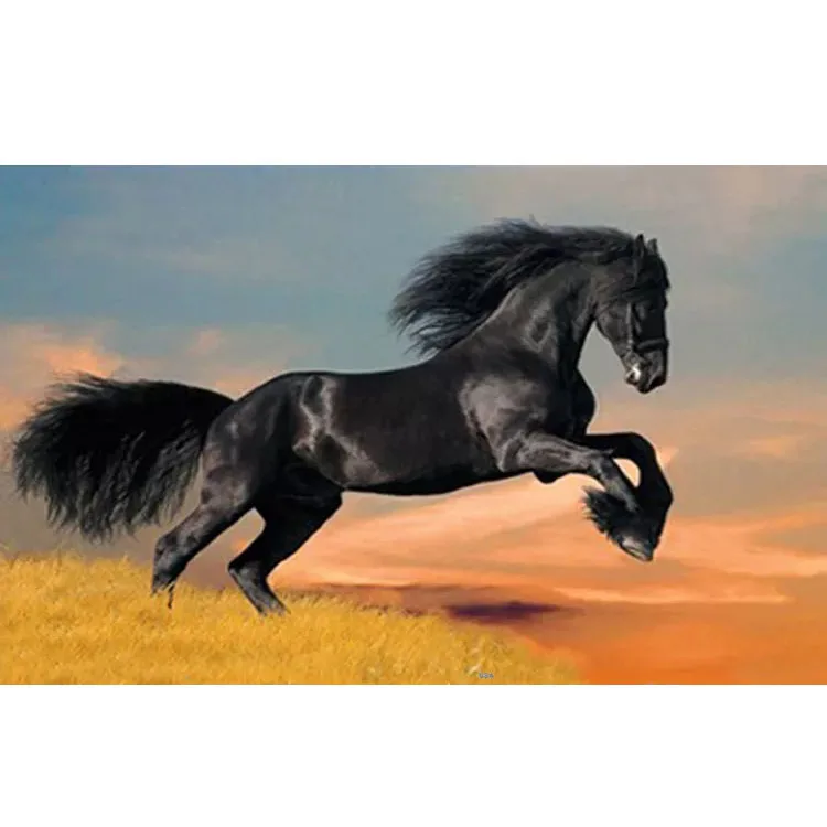 Tranh Ngựa 3d Tranh Kim Cương Tranh Động Vật Nổi Tiếng Tranh Ngựa Trừu  Tượng  Buy 3d Ngựa Hình ẢnhNổi Tiếng Bức Tranh Động VậtTóm Tắt Horse  Tranh Product on Alibabacom