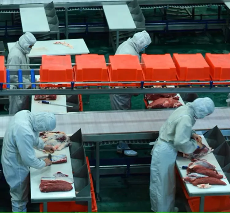 Smart deboning and cutting lines customized for beef, pork and lamb processing plants