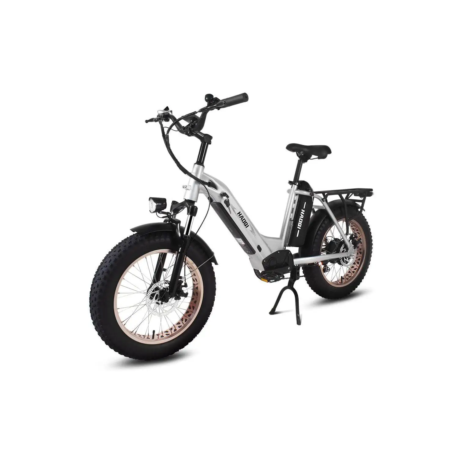 HAOQI Antelope Pro 750W Cargo Electric Bike (UL Certified)