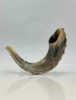 Natural Horn Color