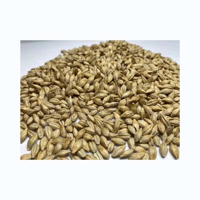 Bulk Malted Barley,Barley Grain Ready For Export Buy Top Quality