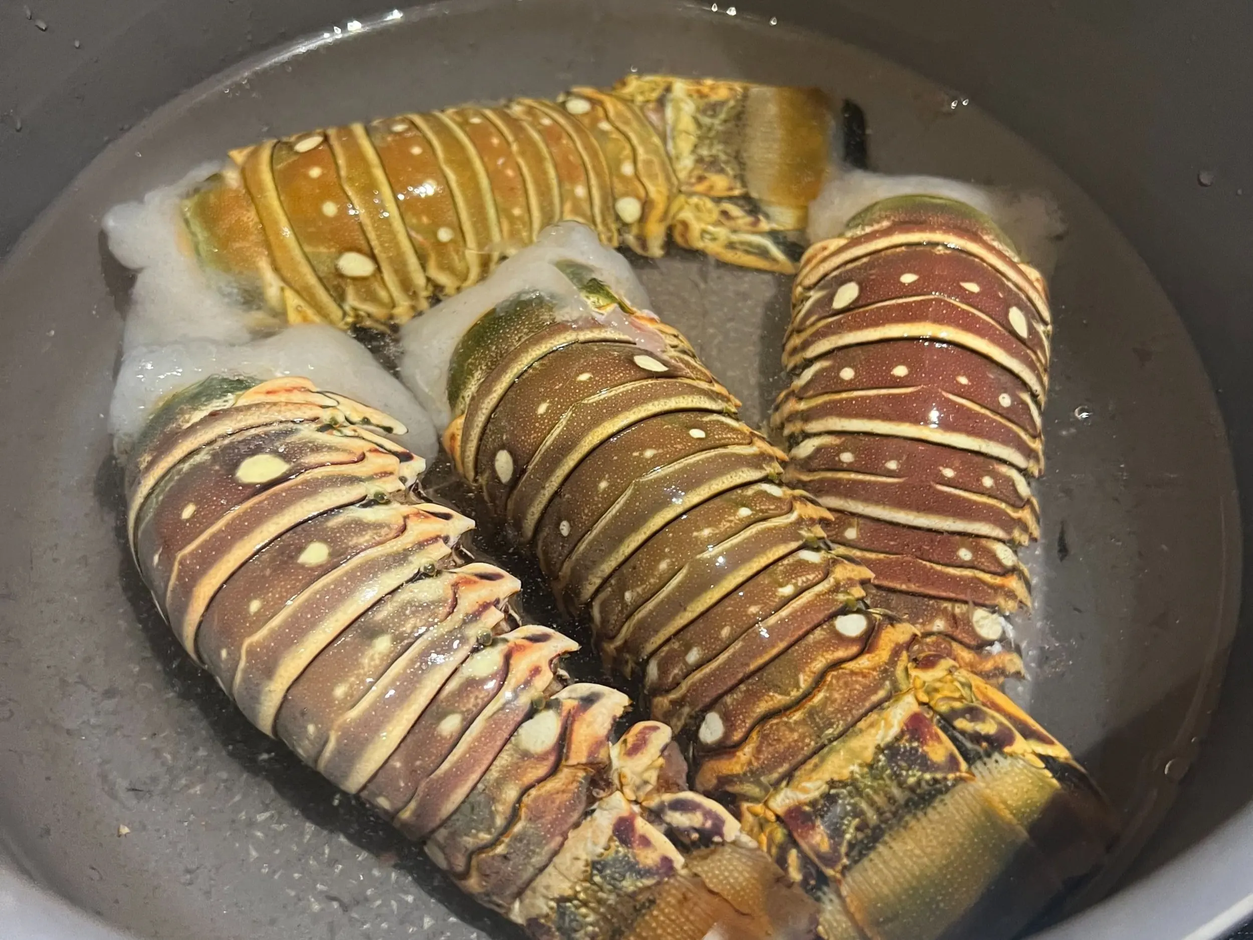 Wholesale Price Fresh and Frozen Lobster for Sale Red Lobsters in Bulk Raw Frozen Lobster Tails Cheap price