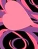 Pink/Black