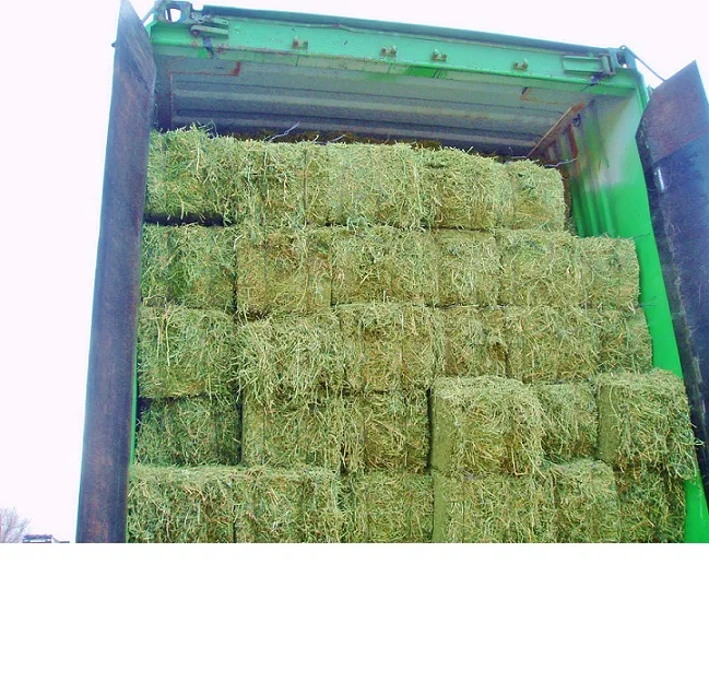 High Qualtity Alfafa Hay/Alfalfa hay pellets,Cubes for sale
