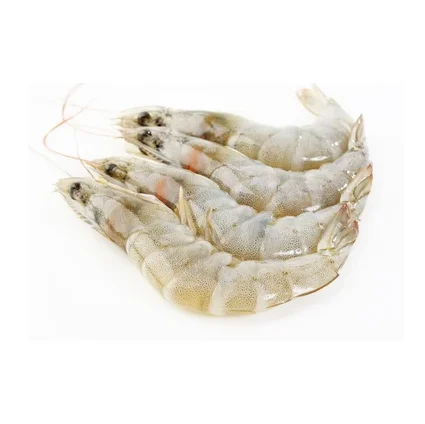 Белые креветки замороженные. Белые креветки замороженные. Креветки эквадор 21/25. Белые креветки. Белая хрень на замороженных креветках.