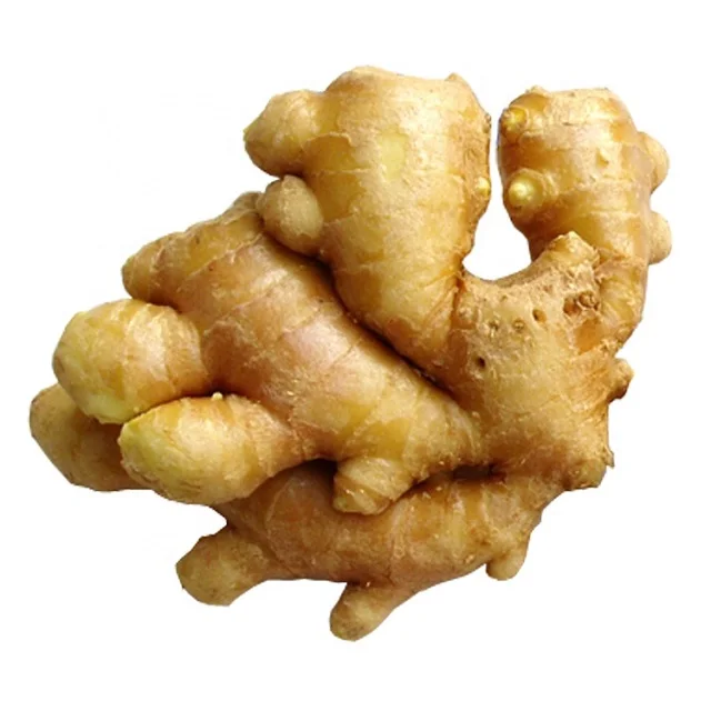 Wholesale Outstanding Quality Bulk Fresh Ginger Organic Fresh Vegetable Ginger