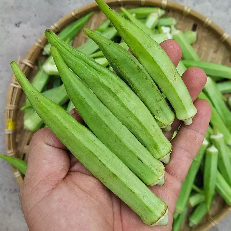 Cheap Price Frozen Okra Emballage Okra Frozen Okra From Bangladesh