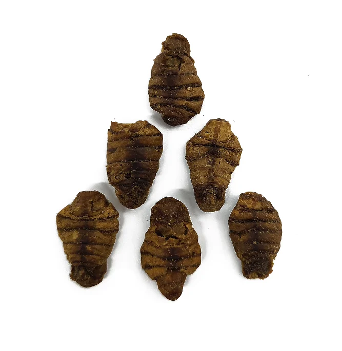 Hicreator Dried Silkworm Frozen Silkworm Pet Food Dry Storage High