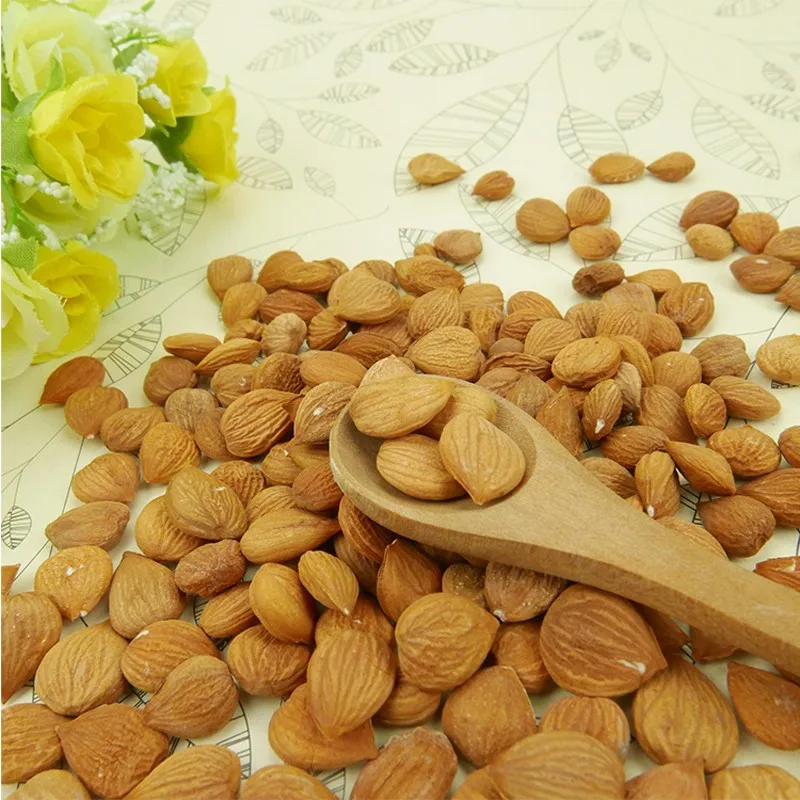 Высокое качество Лучшая цена хорошее вкусные абрикосовые ядра горькие и сладкие орехи для