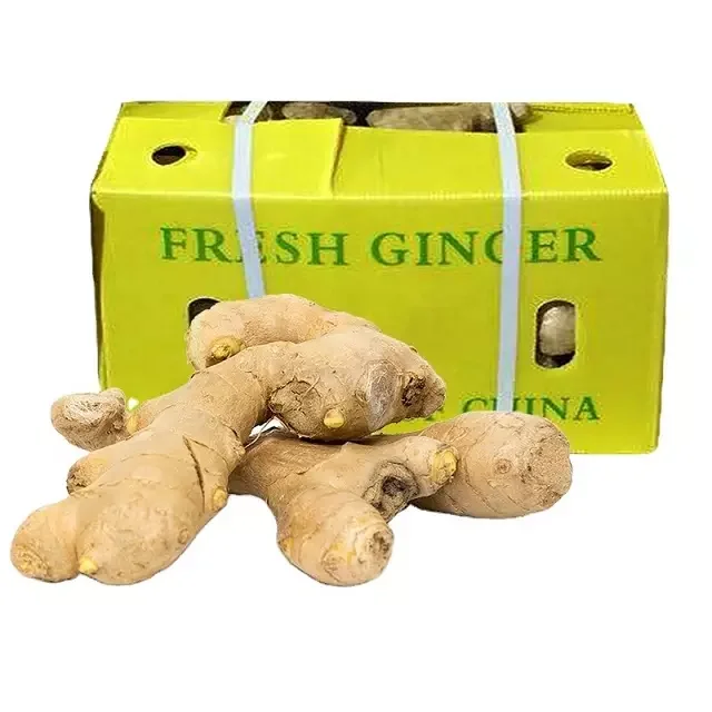 Factory Ginger Product Fresh Ginger Ginger For Best Deals Today Buy Fresh Ginger,Dried Ginger