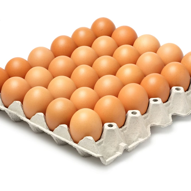 egg art.jpg
