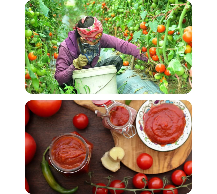 Big Sale International Standard Vietnam Manufacture Supply Private