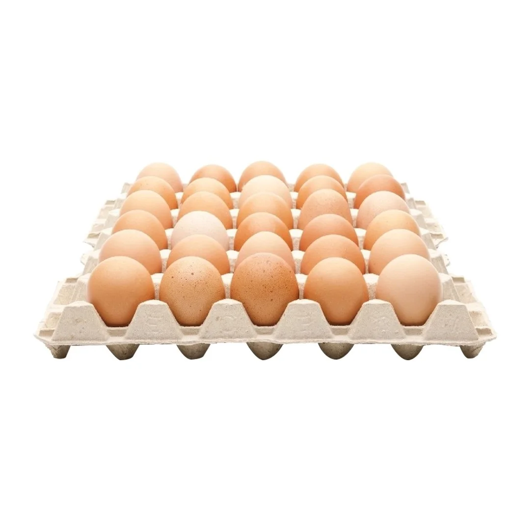 Fresh Chicken Table Eggs Fertilized Hatching Chicken Eggs,White And