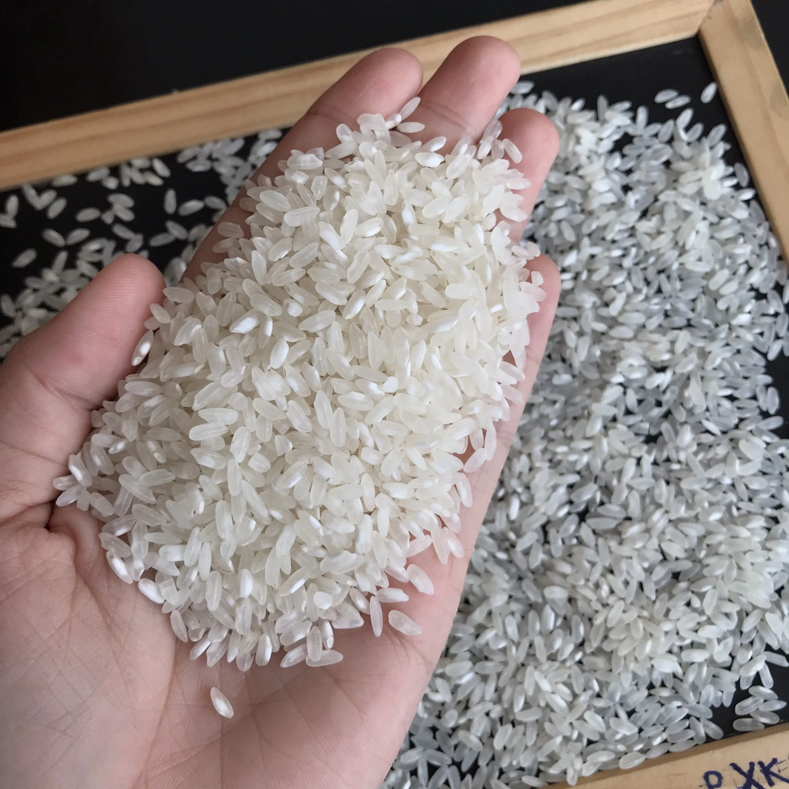 Vilaconic Factory Medium Calrose Soft Texture Pure White 100% Double ...
