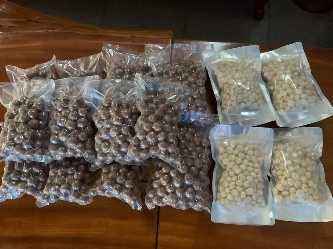 Wholesale Tropical Farm Dried Macadamia Nuts In Shell From Hung Tam Vn Tammy +1 763 353 5245