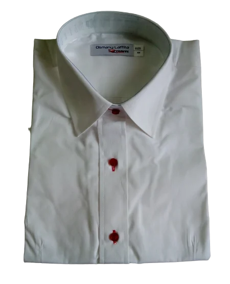 Best Selling Multi Colored Formal Shirt 100% Cotton Breathable Eco-Friendly Turn-down Collar Full Sleeve Spring/Summer Corporate