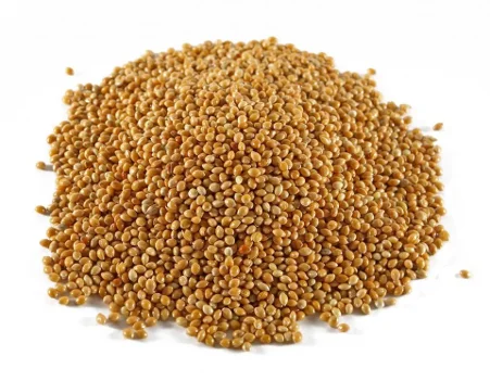 Best Prices on Organic IQF Frozen Red and White Sorghum Flour Grains with 24 Month Shelf Life From France
