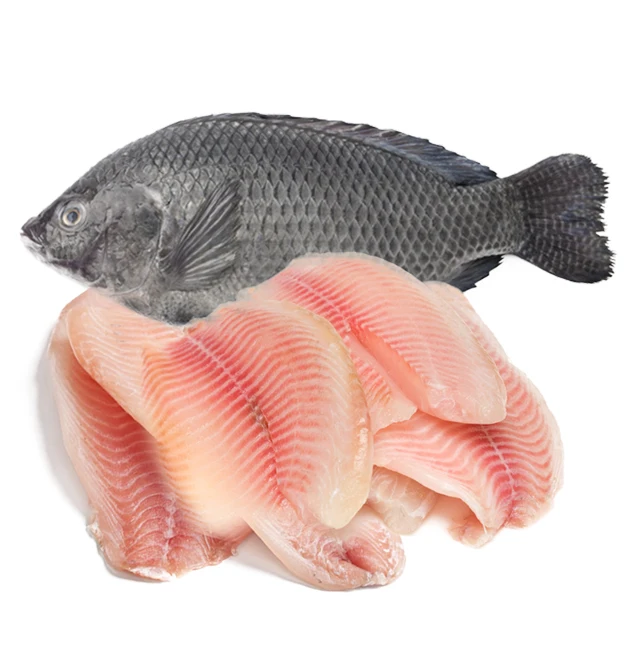 Farm Frozen Fish Tilapia For Tilapia Distributors Buy High Quality