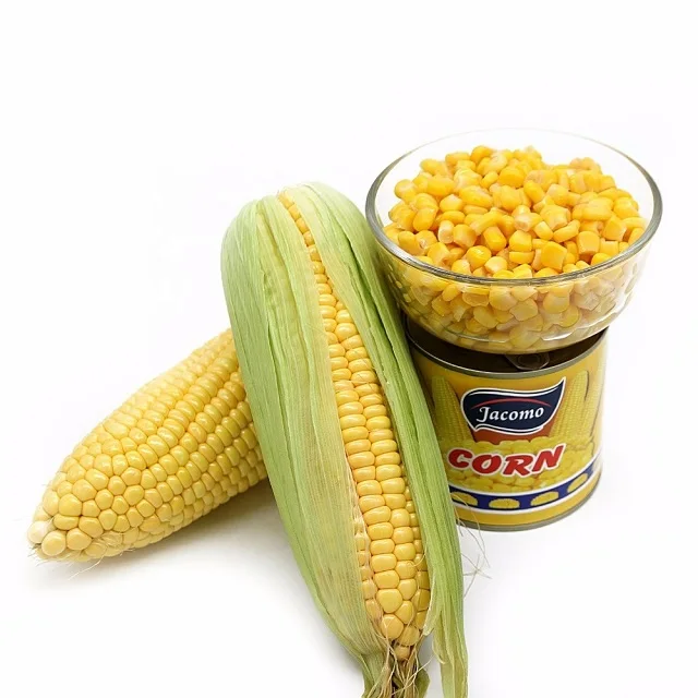 Dry Yellow Corn for Animal Feed Wholesale Yellow Corn Animal Feed