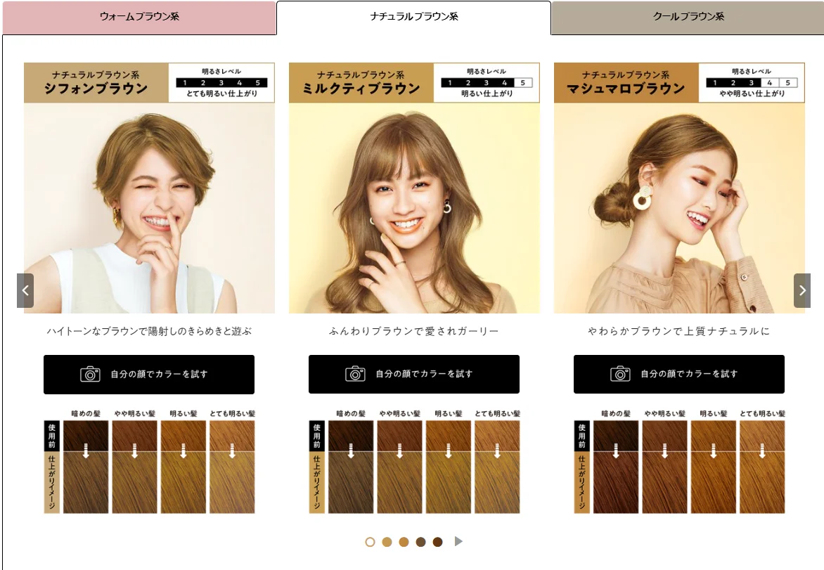 Made In Japan Kao Liese Foam Hair Color Natural Series Chiffon Brown