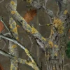 Camopi Biggame 3D Camoulage