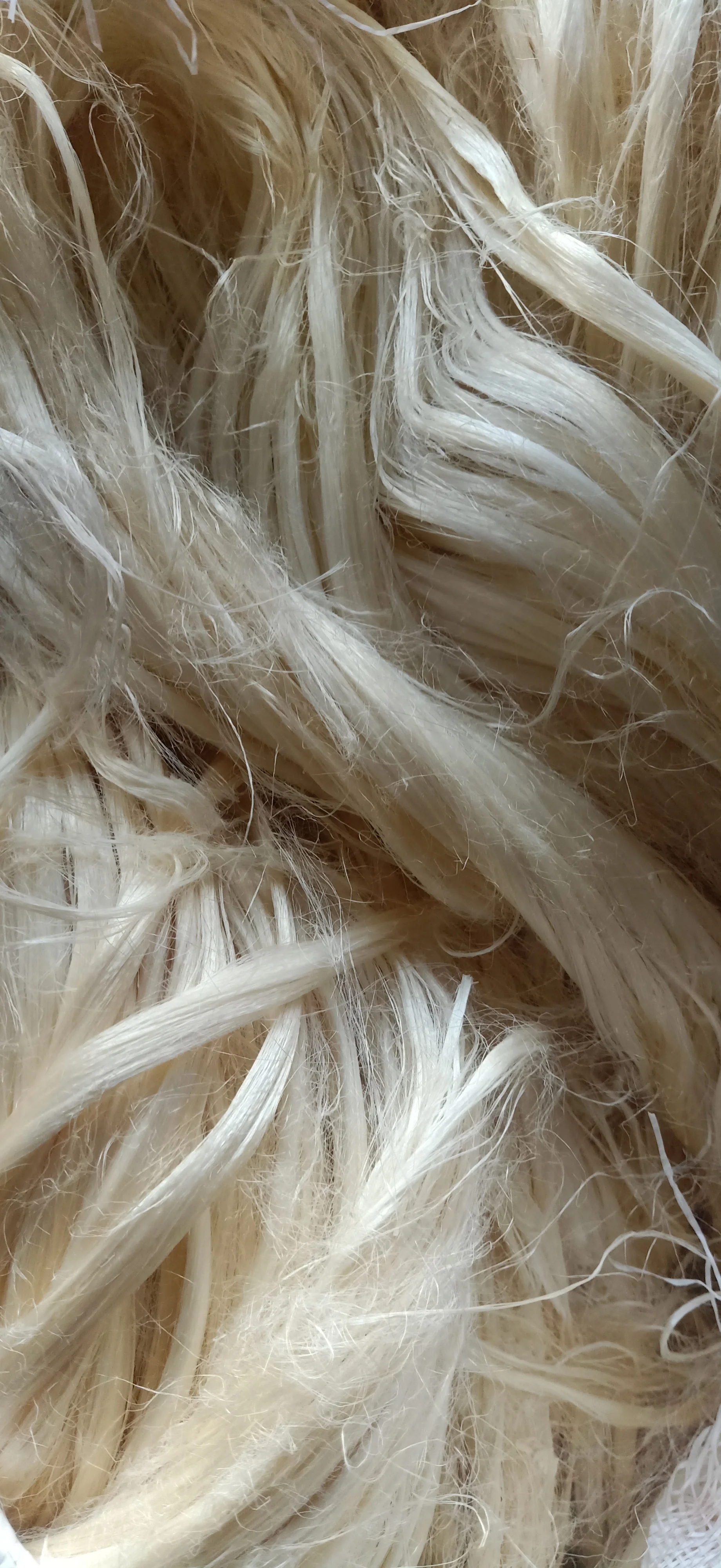 Natural 100% Aloe Vera Fiber for Textile Spinners - Ideal Natural Fiber  Material for Yarns and Crafts
