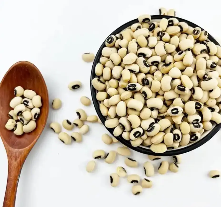 Wholesale Black White Eye Cowpea Beans Bulk Quantity Cheap Price Cowpea Factory Manufacturer
