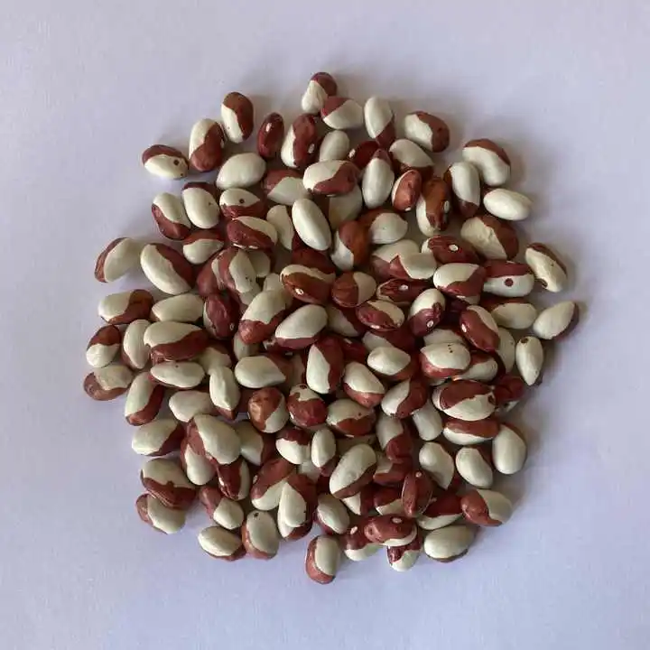 OEM ODM Red Kidney Bean Custom Small to Medium Round Red Bean Wholesale Fermented Adzuki Beans