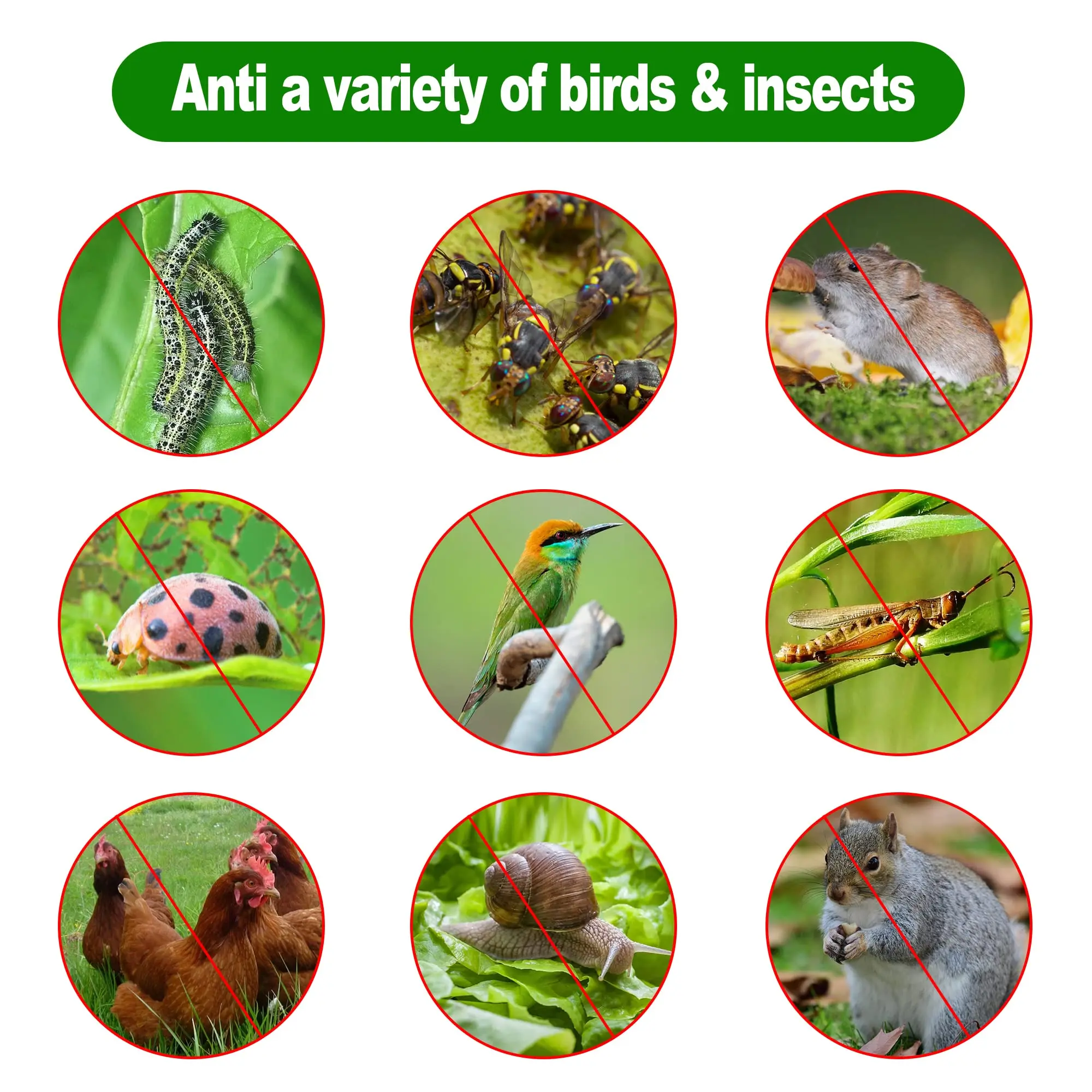Insect Neetting Insect Netting Agricultural Fruit Fly & Insect Netting 45gsm Insect Net ...