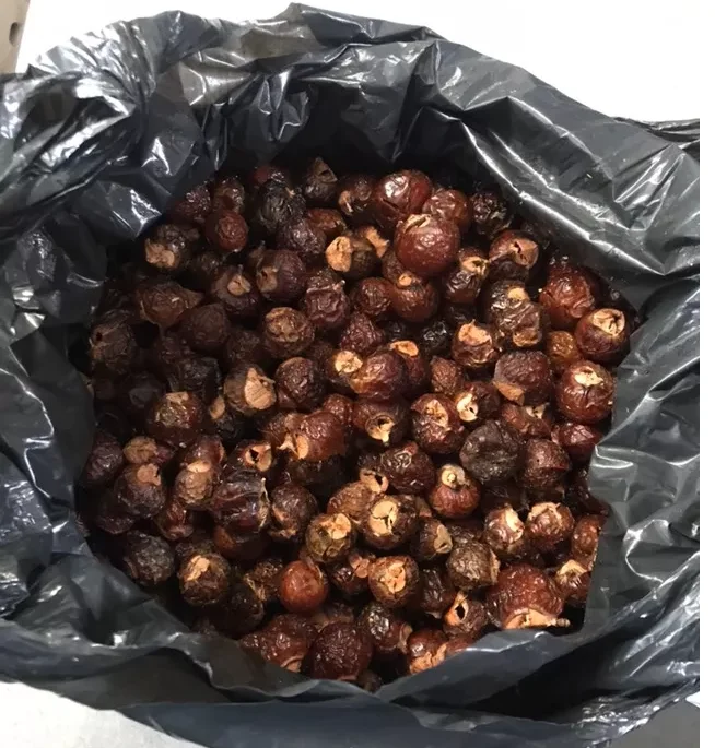 VIETNAM SOAPNUT SOAPBERRY