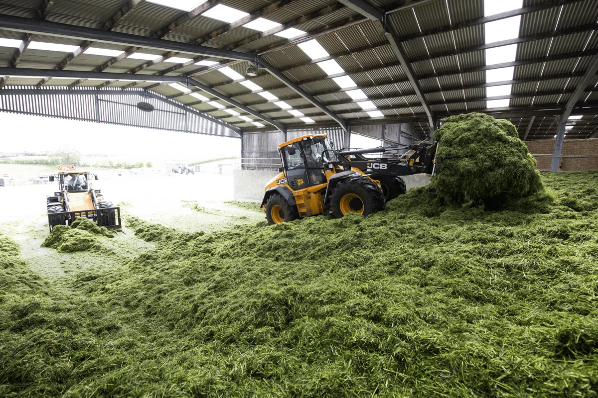 CATTLE FEED CORN SILAGE in STOCK /DRIED SILAGE PELLETS