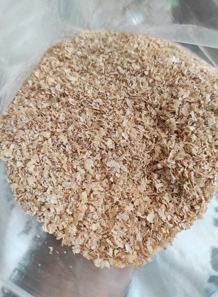 Wheat Bran Meal For Animal Feed Buy Wheat Bran For Sale,Wheat Bran