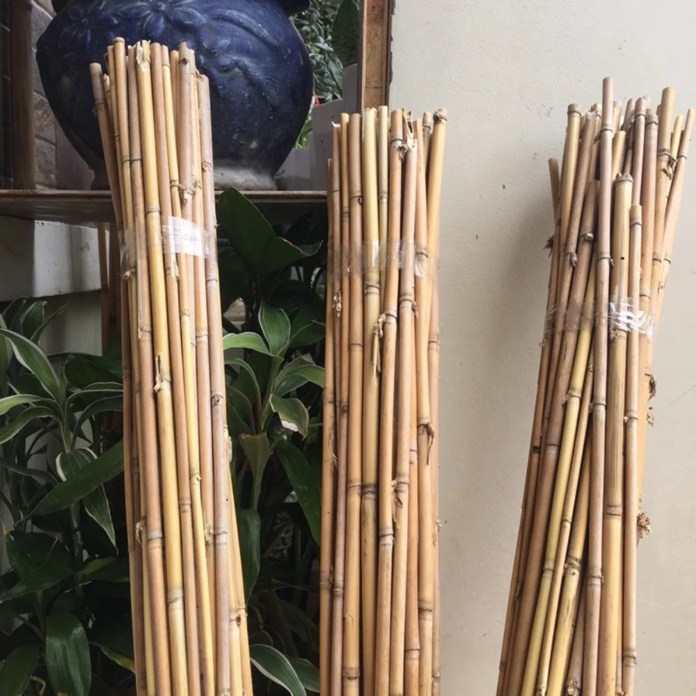 Natrlicher Bambusstab zur Blumenuntersttzung Eco2go Vietnam 100% Bambus  10-20 Jahre Haltbarkeit 50-100cm Lnge| Alibaba.com