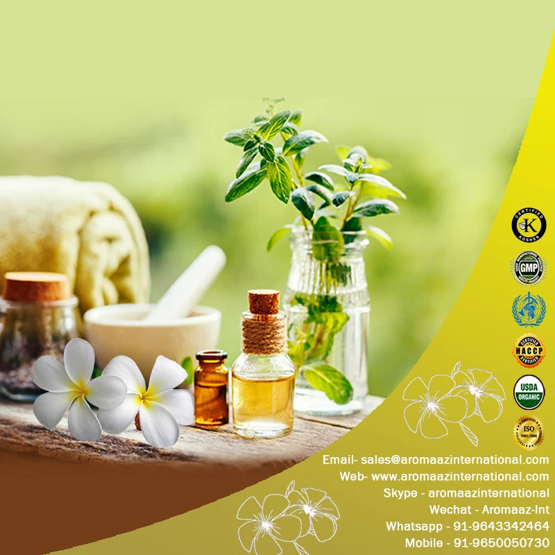 Buy Frangipani Essential Oil Online in India  Bulk Manufacturer &  Wholesale Supplier – VedaOils