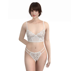 Women's Transparent Bra and Panty Set Hot Sexy Lace Embroidery Lingerie with Sequined Decoration and Ruffles