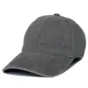 Light Gray color