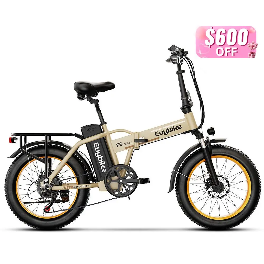 Euy F6 Long Range Electric Mountain Bike with Fat Tire Premium Electric Bike Product