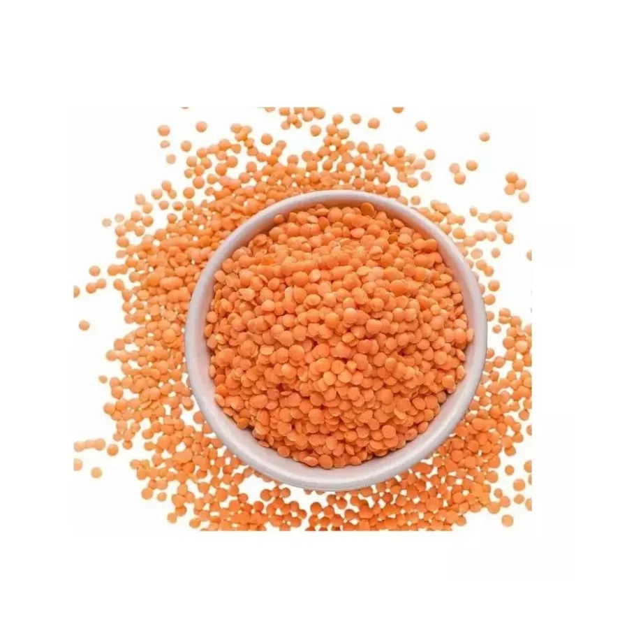 Wholesale Price Red Lentils Red Whole Lentils And Red Split Lentils