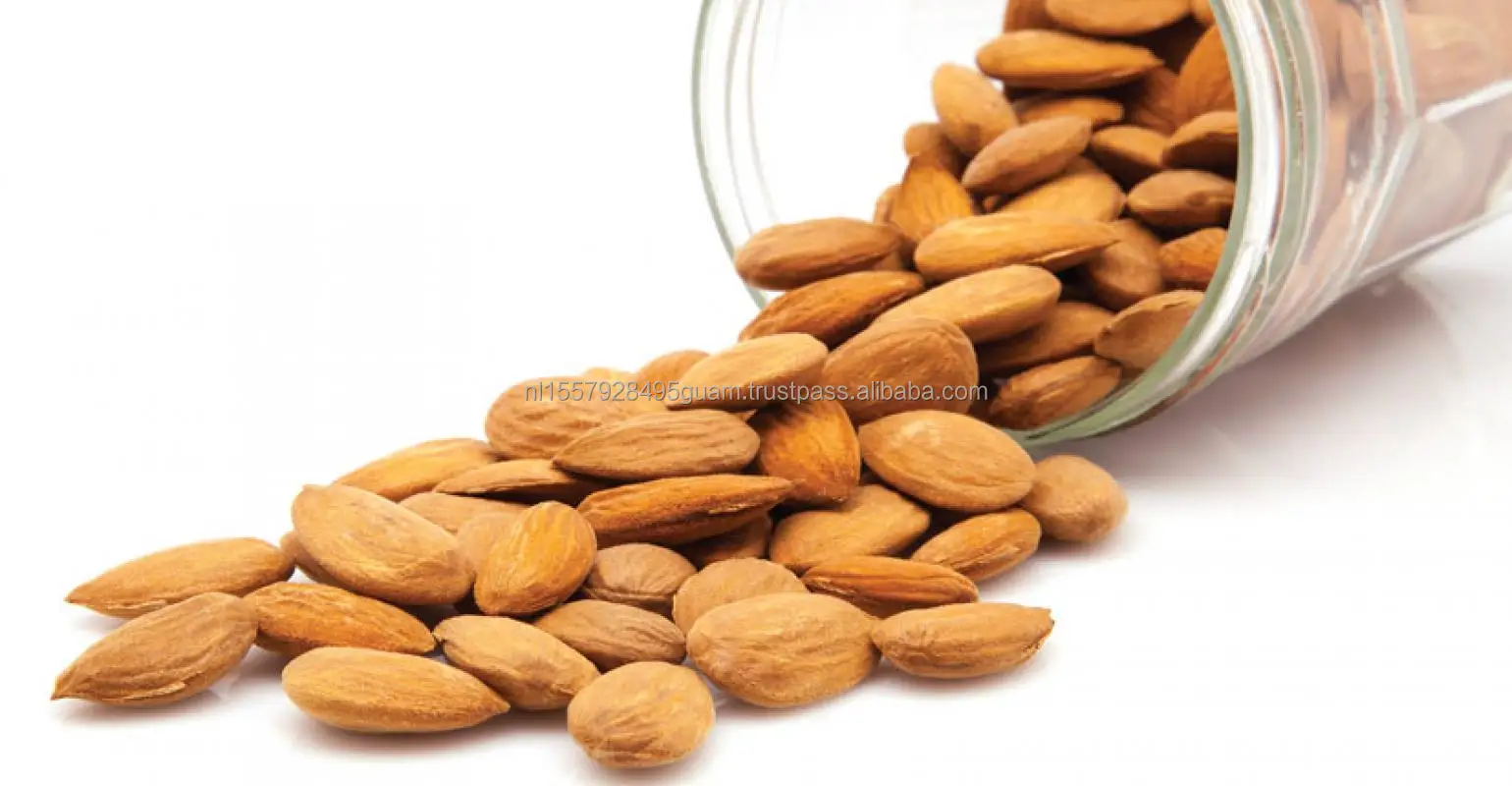 almonds.jpeg