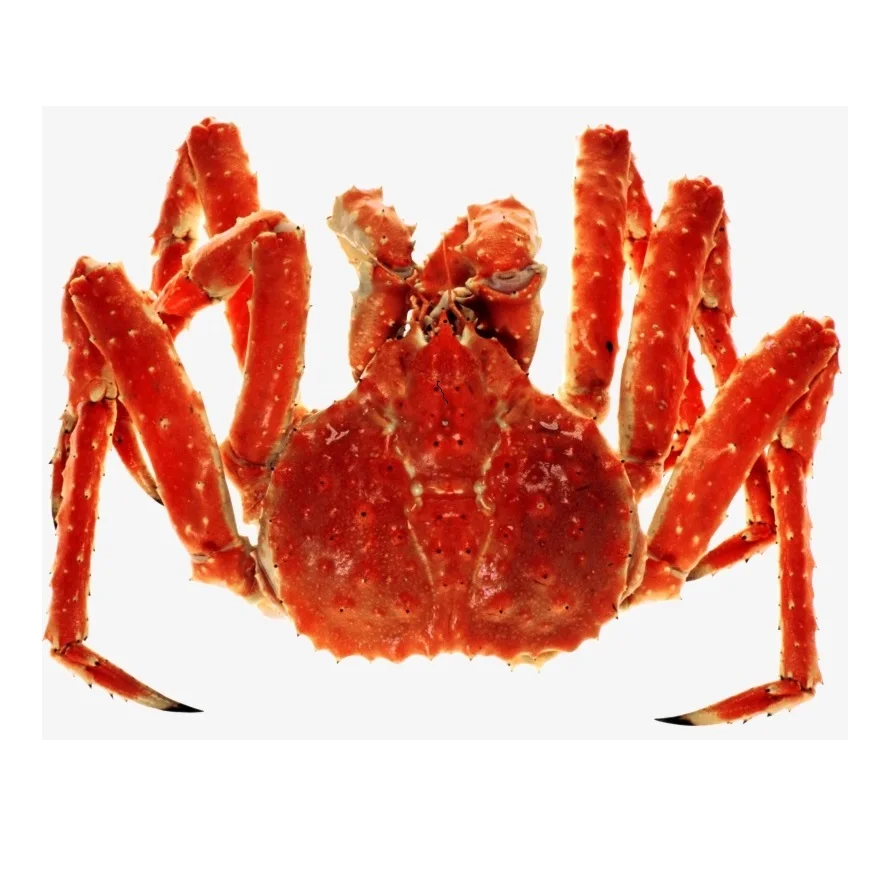 Frozen Snow Crab Cluster / Snow Crab Clusters / Crab Legs For Sale ...