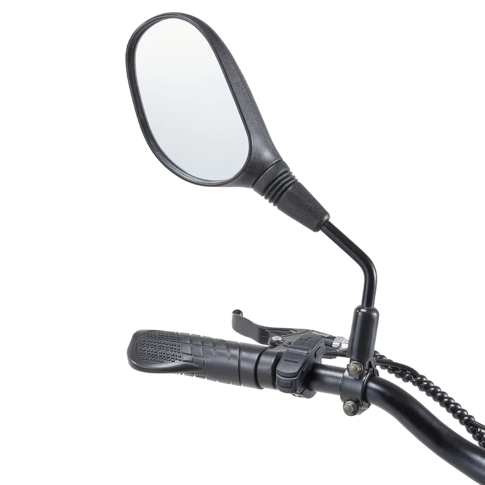 RANDRIDE DM711 Electric Motorcycle Dual Motor Drive 1000W*2 Peak Power for City Commuting