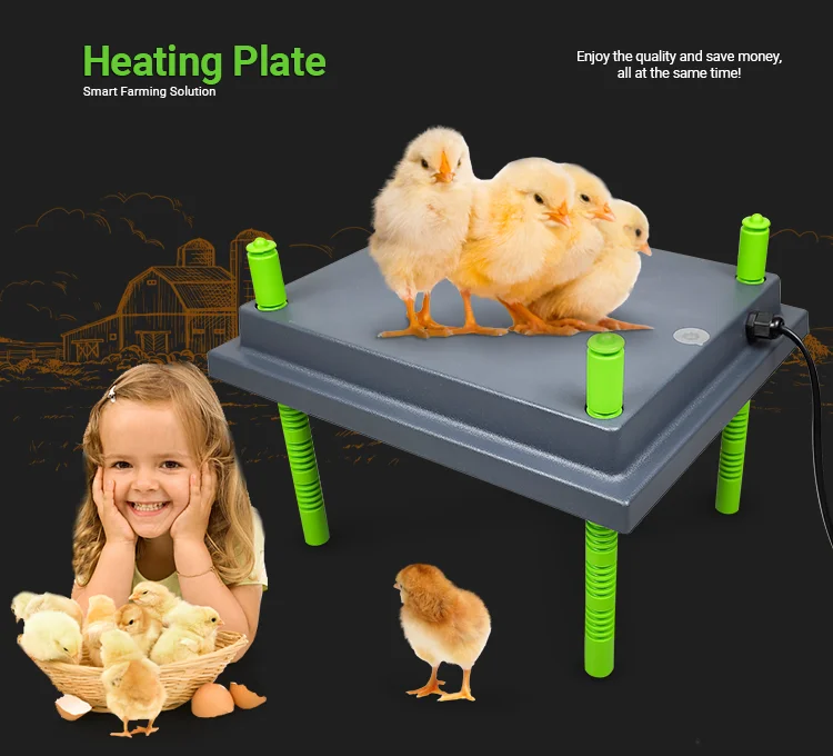 Poultry Heating Equipment Heater For Chicks Dcn2530 With Ce