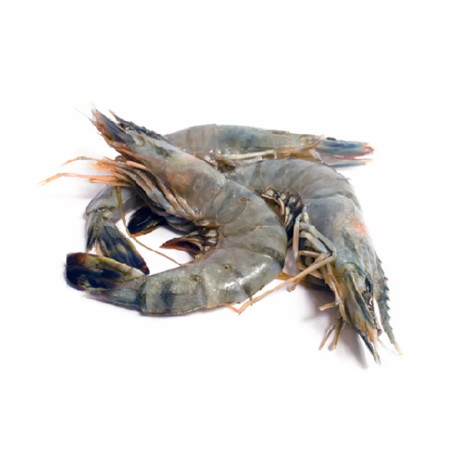 Fresh Frozen Seafood Prawns Frozen Vannamei Shrimp Good Quality Best