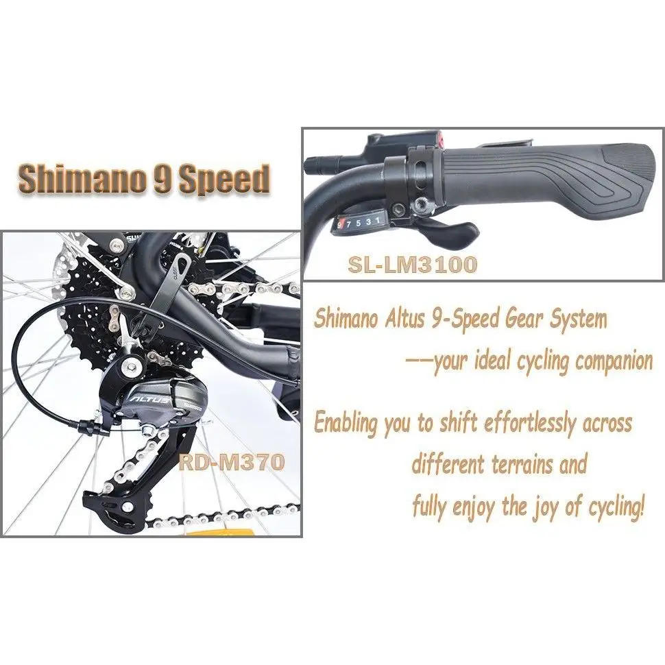 TTGO LK-ZZ-28ST Electric Bike City Electric Bike 250W 36V 20Ah battery Shimano 9 speed