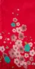 Corail Rouge