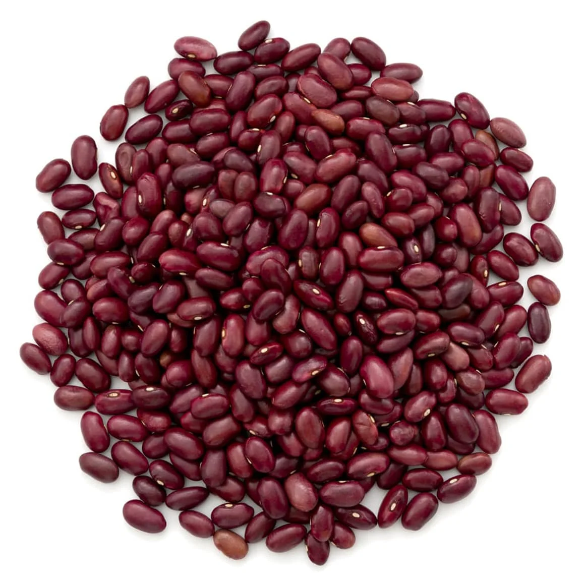 Beansページ Amazon.co.jp: Sasagawa Nonwoven J Roll Azuki Beans Width 27.6