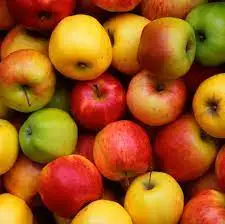Fresh Organic Red Delicious Apples Natural and Healthy Fruits for Sale