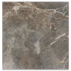 Variante Gris