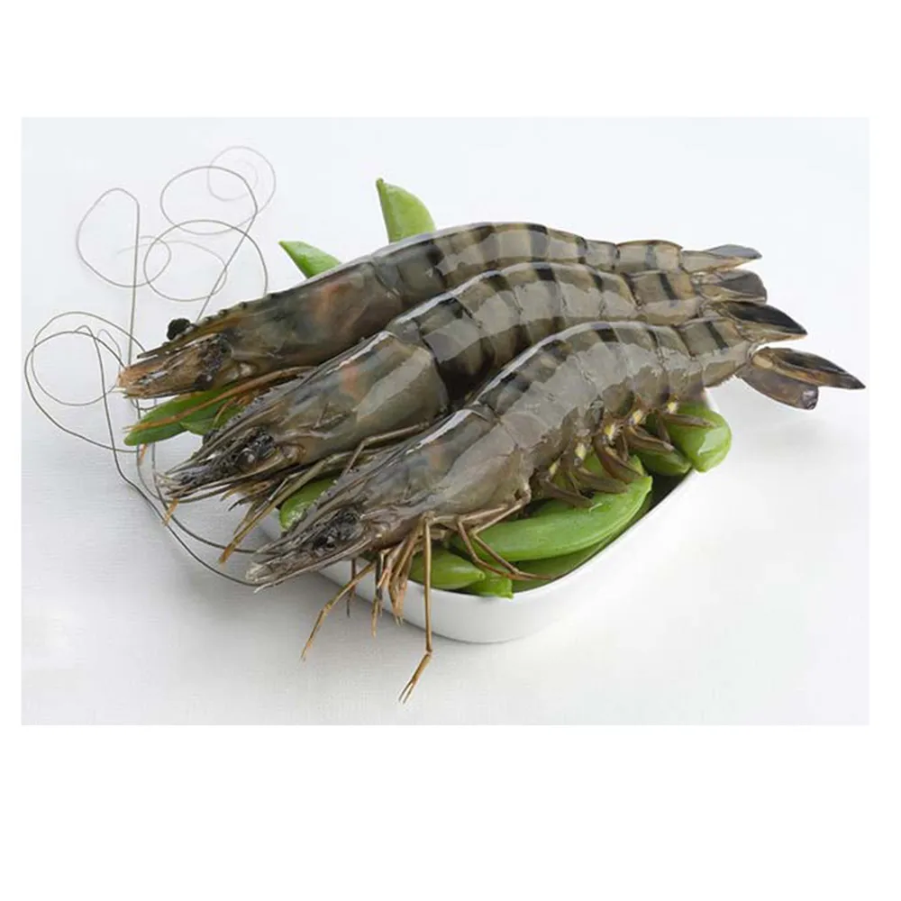 Fresh Frozen Seafood Prawns Frozen Vannamei Shrimp Good Quality Best