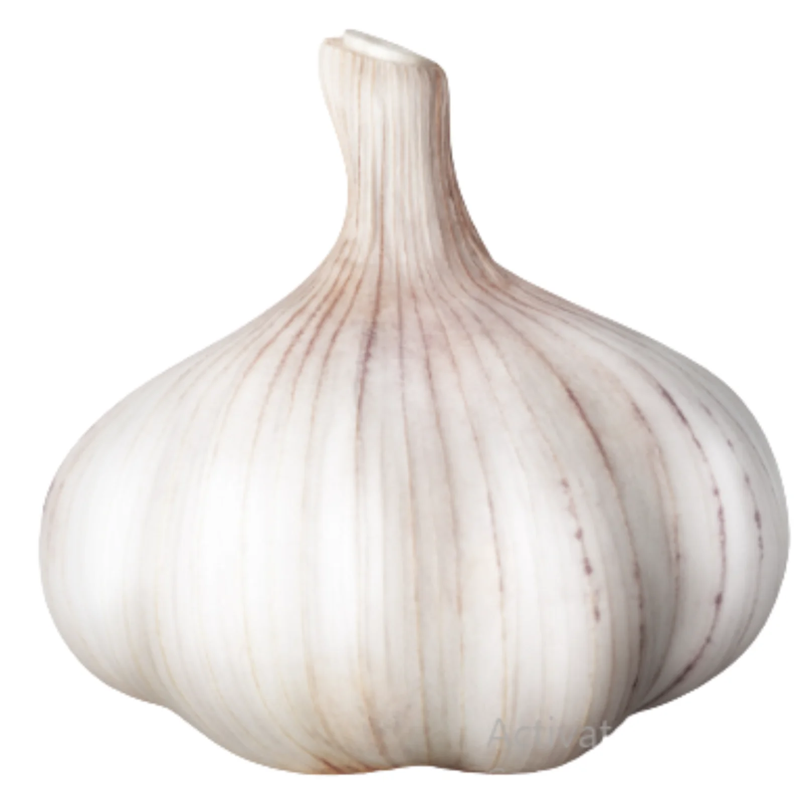 Fresh White Garlic/natural Garlic Wholesale Price /fresh Peeled Garlic